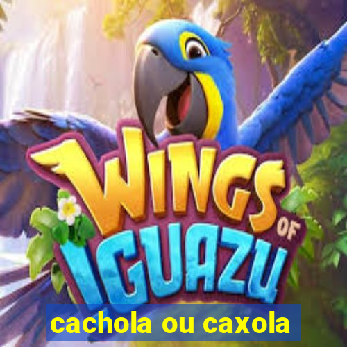 cachola ou caxola